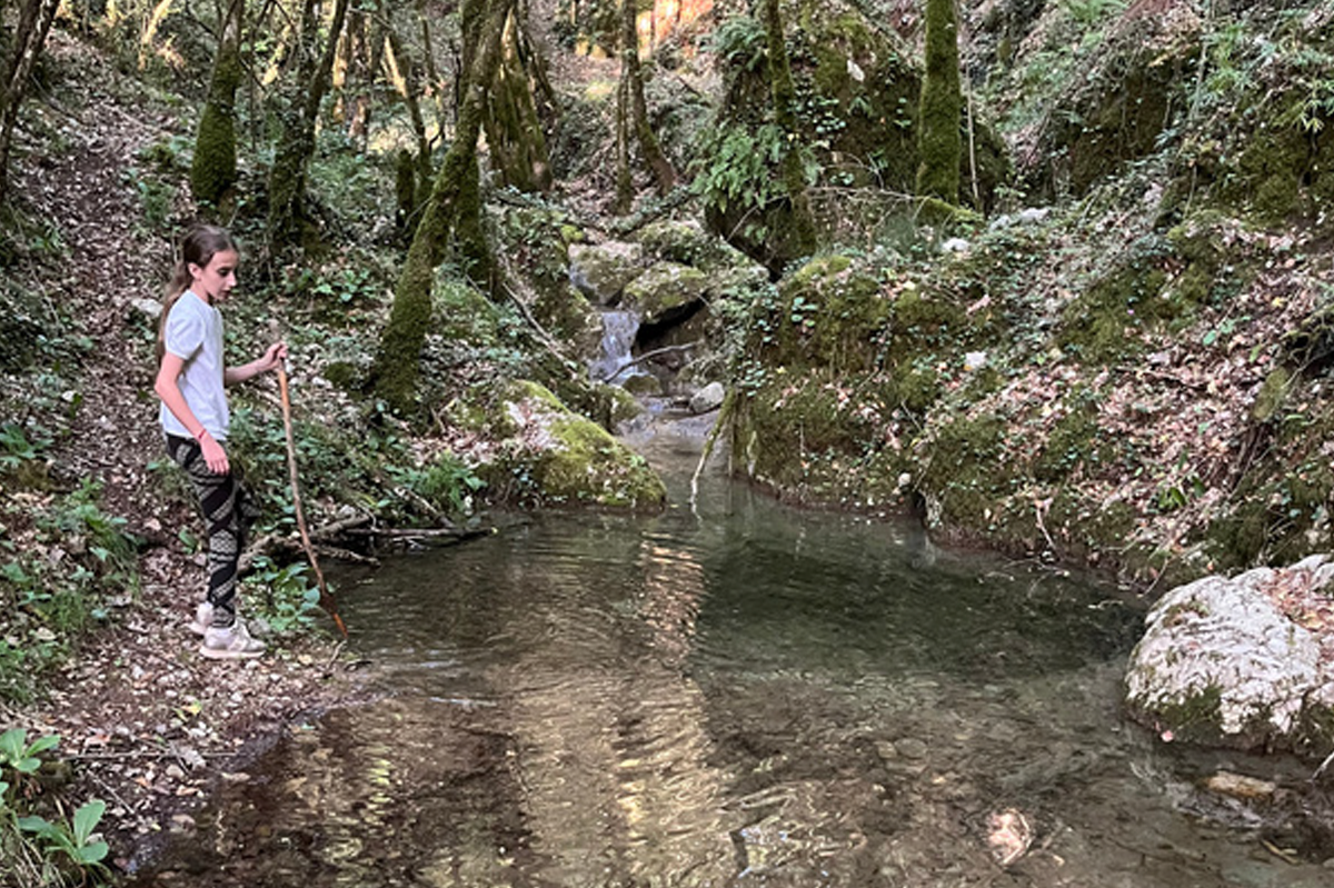 cascate nel bosco