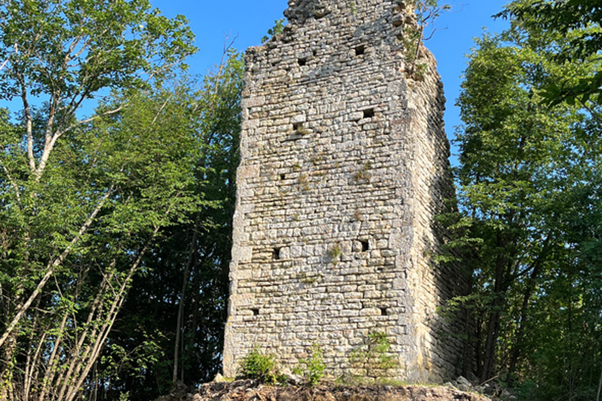 torre saracena